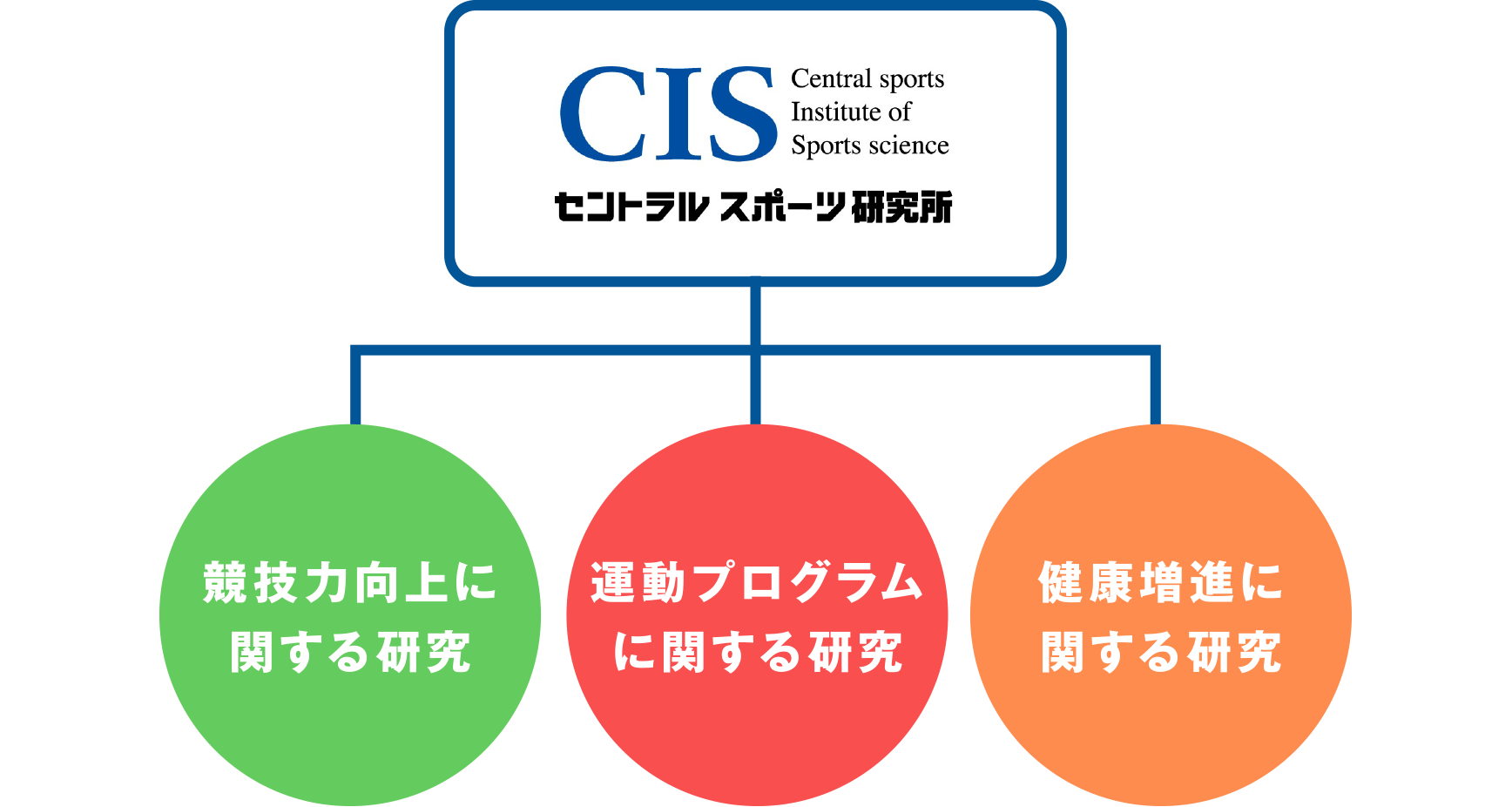 セントラルスポーツ研究所の図