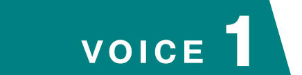 VOICE 01