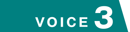 VOICE 03