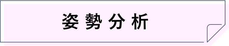 姿勢分析
