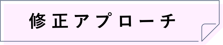 修正アプローチ