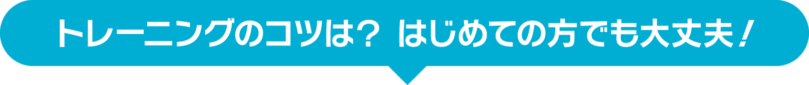 トレーニングのコツは？ はじめての方でも大丈夫！