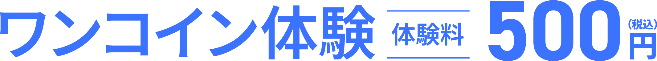 ワンコイン体験500円
