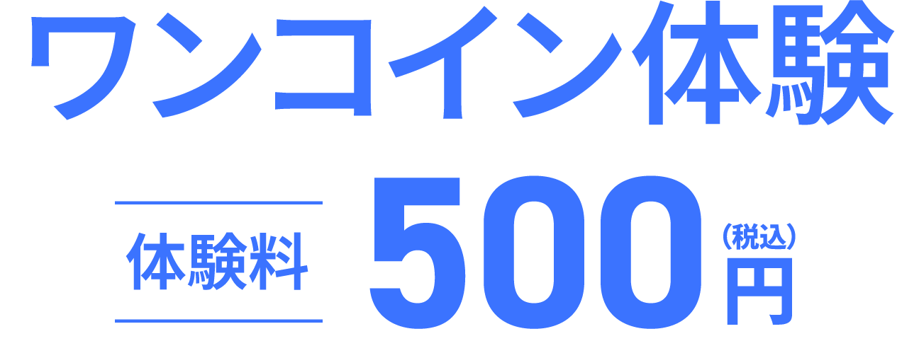 ワンコイン体験500円
