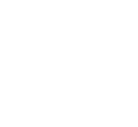 水 泳 スクールの実施種目はクラブによって異なります。詳しくは各クラブのＨＰをご覧ください。