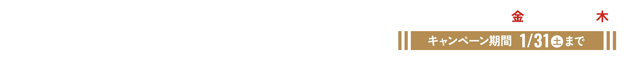 ニューイヤーキャンペーン2026