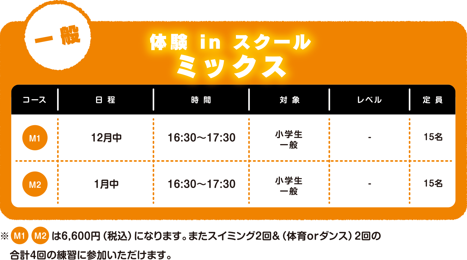 ＜一般＞体験 in スクールミックス